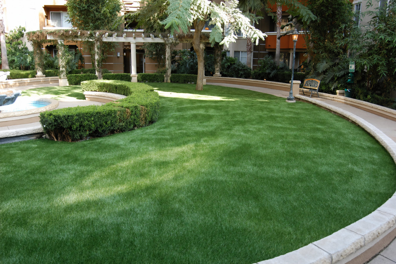 Drought-tolerant turf